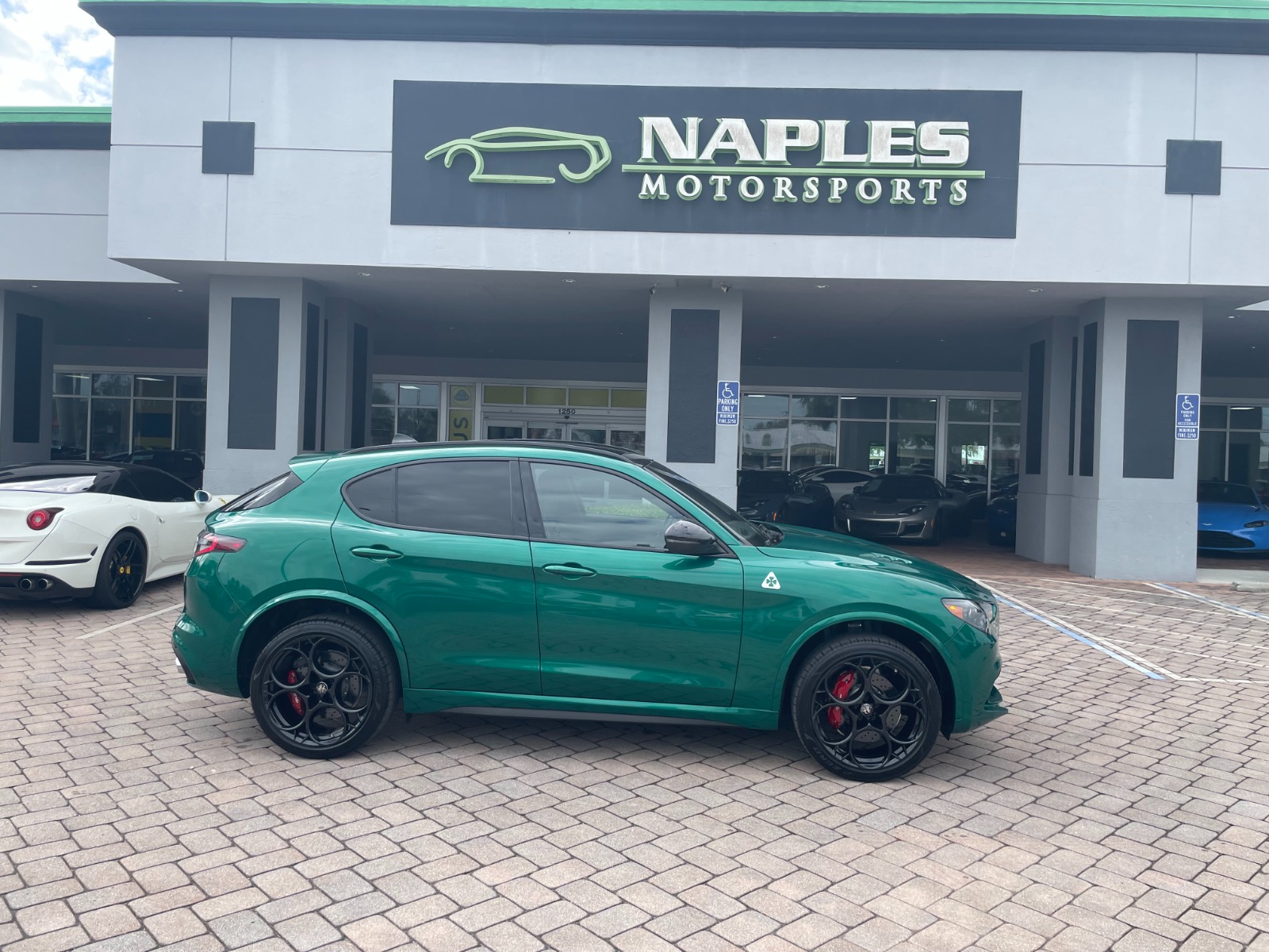 VIN: ZASPAKEV0R7D85941 | New 2024 Alfa Romeo Stelvio Quadrifoglio