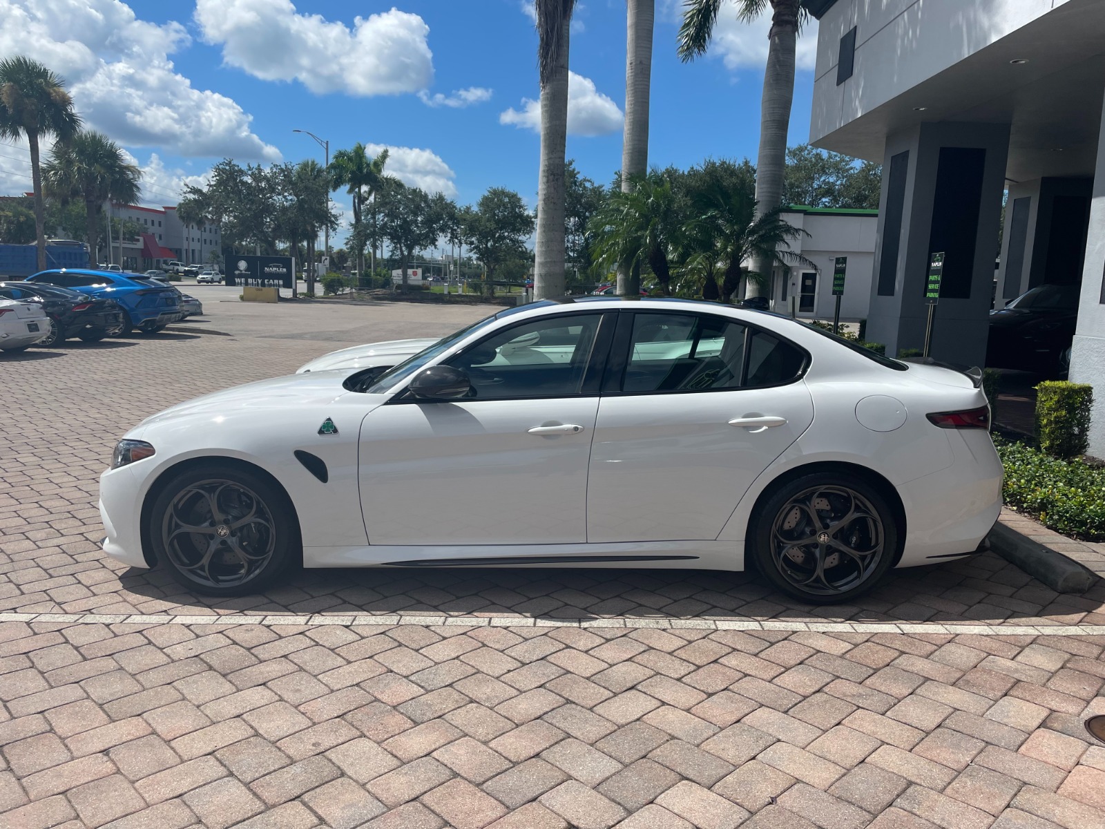 VIN: ZARFAMEV0R7690202 | New 2024 Alfa Romeo Giulia Quadrifoglio